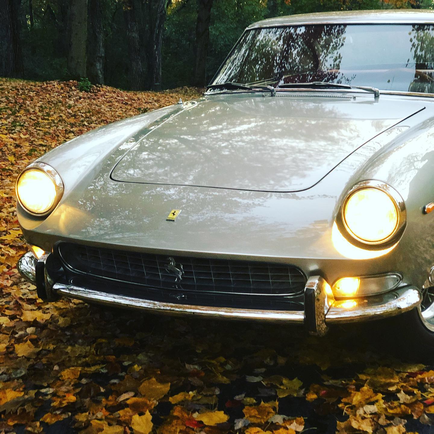 The Midwest Fall Ferrari 330 pic

@riffsgarage